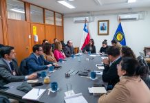 Gobierno pone el foco en la prevención y reinserción tras hechos violentos protagonizados por adolescentes en Puerto Montt