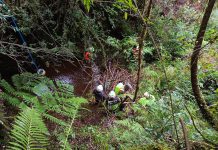 Continúan labores de búsqueda de adulta mayor desparecida en la localidad de Correntoso