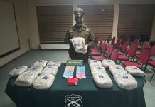 Carabineros de Osorno sorprendió a un sujeto con 16 kilos de drogas en su automóvil