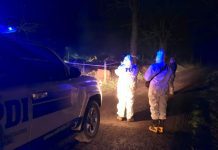 PDI investiga fatal incendio de vivienda en sector rural de Paillaco