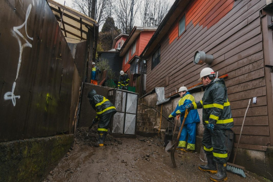 WhatsApp Image 2025-08-11 at 4.55.19 PM