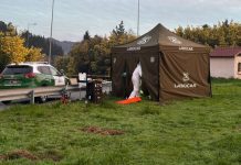 Falsa venta de auto terminó en robo con homicidio: el fallecido era funcionario municipal en Osorno