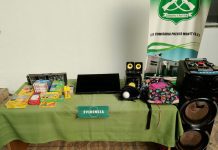 Procedimientos de Carabineros de Puerto Montt deja 11 detenidos por delitos de robo y narcotráfico