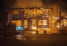 Incendio en dos viviendas de Futrono causa la muerte de un adulto mayor