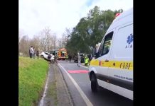 Mujer fallece tras violento accidente en ruta Frutillar- Tegualda: Siniestro vial dejó un lactante grave y otros tres adultos con lesiones