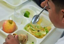 Junaeb adopta medidas para entregar alimentos a escolares tras paro de manipuladoras