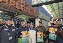 Comenzó la veda de la merluza austral desde Los Lagos a Magallanes