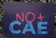 Cámara aprobó en general el proyecto que pone el fin al CAE