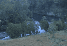 Tres personas fueron arrastradas por el cause del río Pilmaiquén en el sector Maihue