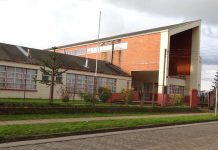 Río Bueno: Suspenden clases en Escuela Pampa Ríos por presencia de larvas y murciélago