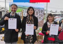 Atención Primaria de Salud Universal suma a Purranque como «Comuna de Avanzada»