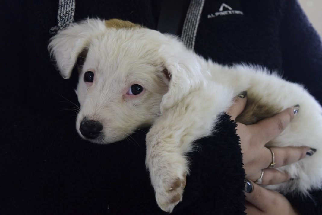 FB_IMG_1759015630924