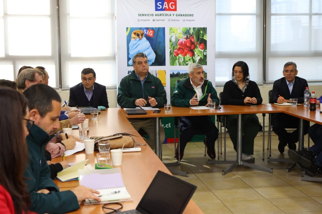 Firma simbólica 3