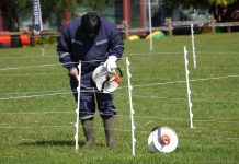 Los esperados “Juegos del Agro” están calentando motores. Los competidores preparan toda la pasión para competir