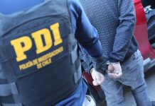 Tres menores de edad y un adulto detenidos por receptación de especies robados en Osorno