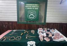 Detenido por abigeato en Río Negro trabajaba en el mismo predio víctima del delito