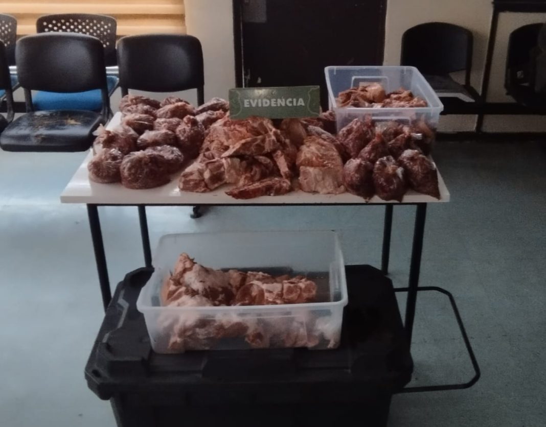 WhatsApp Image 2025-09-11 at 9.44.13 PM