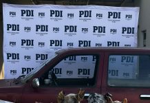En Osorno y Puyehue detienen a integrantes de banda criminal dedicada al abigeato