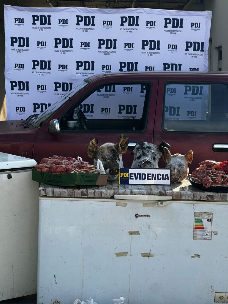 En Osorno y Puyehue detienen a integrantes de banda criminal dedicada al abigeato