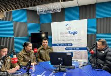 183 muertos en últimos 5 años: Las cifras de fallecidos en accidentes automovilísticos en Fiestas Patrias