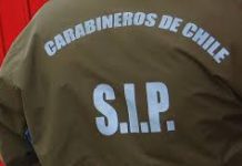 Tres personas fueron detenidas en Maullín en operativo por abigeato y desacato