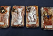 Incautan más de 5 kilos de cocaína en Chaitén: Un colombiano quedó en prisión preventiva