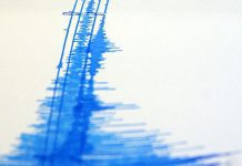 Sismo de magnitud 7,8 se registra en Rusia: SHOA descarta posibilidad de tsunami en Chile