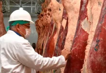 Demanda global empuja precios de la carne a niveles récord en el mercado mundial