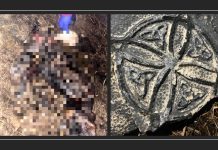 Denuncian brutal muerte de perro en medio de un eventual ritual satánico en Puerto Montt: El animal habría sido quemado vivo