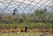 Grupo Hijuelas inaugura nuevo vivero en Querétaro, México