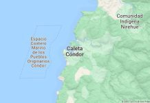 Campesino fue corneado en el abdomen por un toro en Caleta Condor.