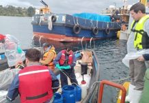 Sernapesca advierte sobre investigación y posibles acciones legales tras escape de salmones en Calbuco