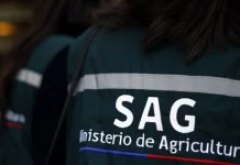 Funcionarios del SAG convocan a movilización nacional que detendrá exportaciones