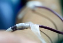 Apuntan a fortalecer la red de salud pública preventiva en la provincia de Osorno