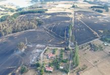 Afinan detalles y coordinaciones para prevenir y combatir incendios forestales en la provincia de Osorno