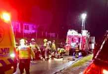 Conductor falleció tras volcamiento de vehículo en Calbuco