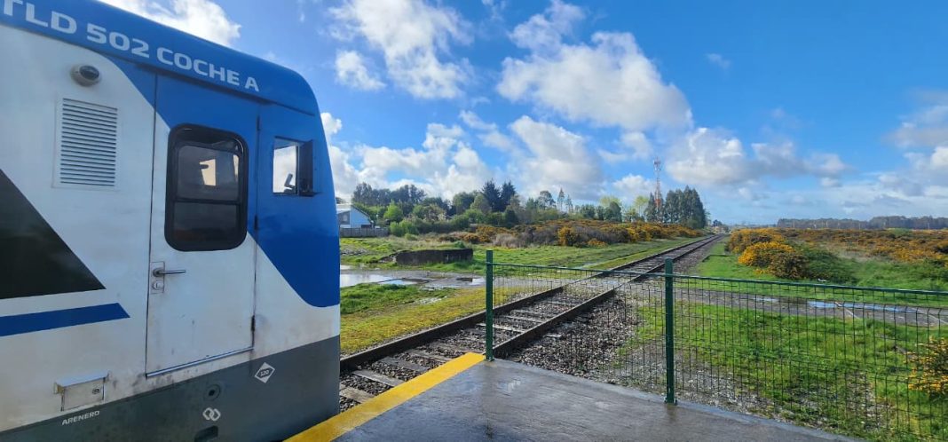 564810998_1261014632729332_5281296889216782536_n