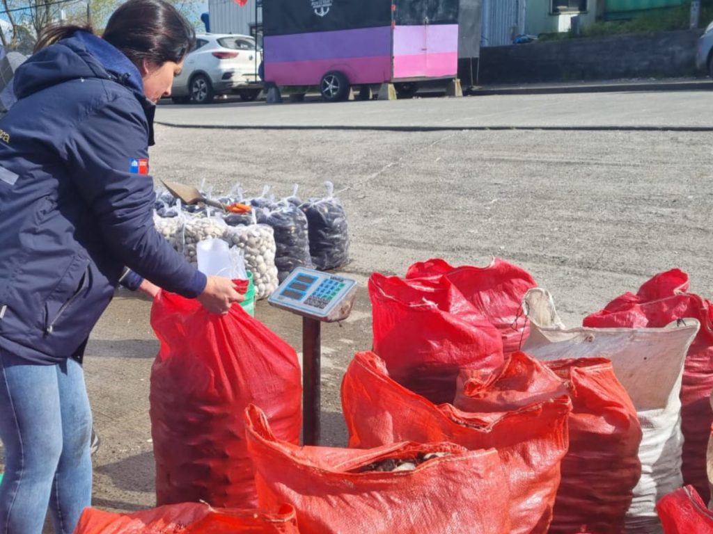 Descubren el almacenamiento de casi una tonelada y media de recursos en veda en Ancud