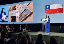 Dorothy Pérez asegura que emisión de licencias médicas por trastornos mentales se redujo en un 32%