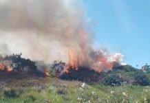 Declaran Alerta Roja en Ancud por incendio forestal activo en sector Huaihuén