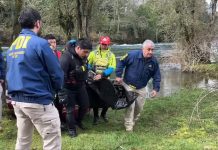 Familia busca justicia por menor fallecida en el río Pilmaiquén: presentan querella contra la machi Millaray Huichalaf