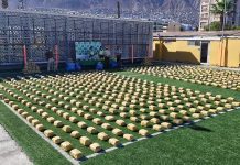 Casi 40 toneladas: Carabineros alcanza récord y ha incautado a septiembre 4% más de droga que en todo 2024