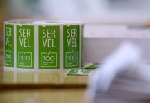 Servel publica nómina de vocales de mesa para elecciones de noviembre