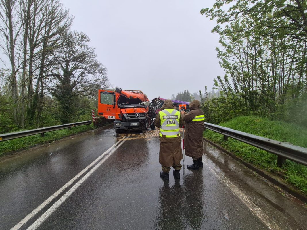 WhatsApp Image 2025-10-03 at 19.58.21