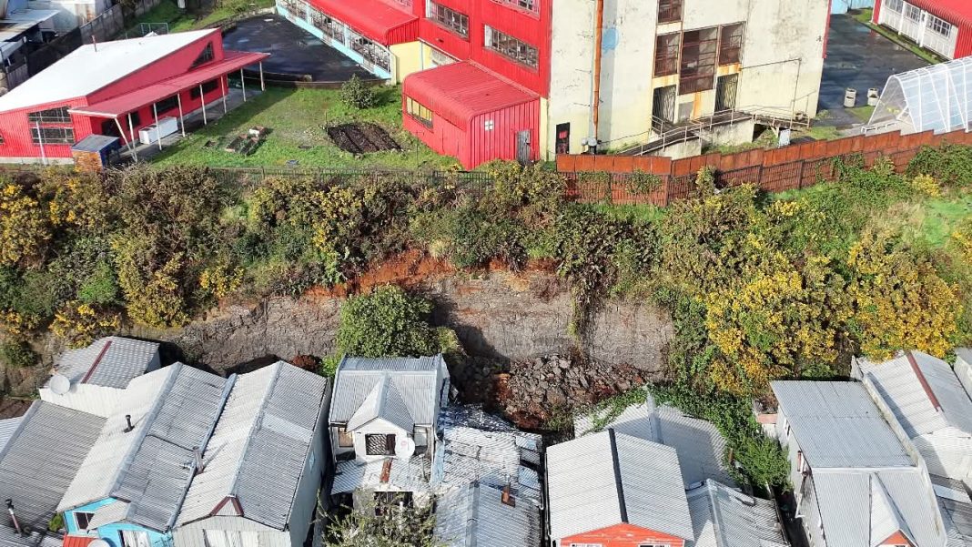 WhatsApp Image 2025-10-04 at 12.27.37