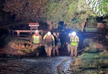 Carabineros logra rescatar a osornino que se había extraviado en el Parque Nacional Hornopirén