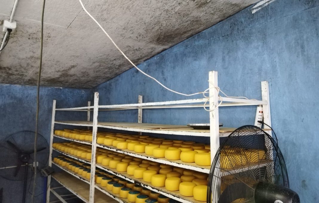 WhatsApp Image 2025-10-14 at 3.30.33 PM