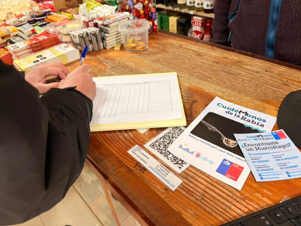 Servicio de Salud realiza en Frutillar encuesta a vecinos por caso de murciélago con rabia