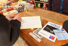 Servicio de Salud realiza en Frutillar encuesta a vecinos por caso de murciélago con rabia