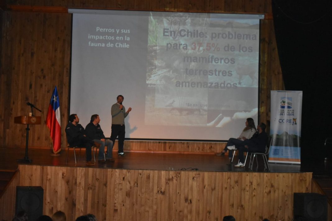 WhatsApp Image 2025-10-23 at 12.46.22